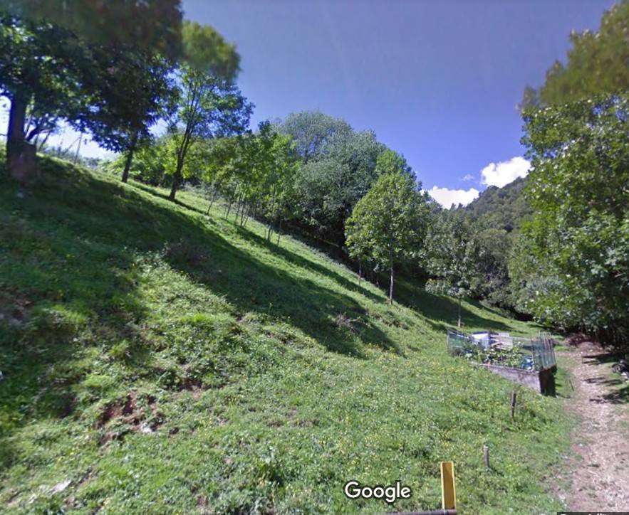 Terreno Agricolo a Gazzaniga